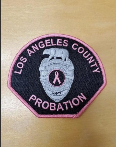 Los Angeles County Probation Department