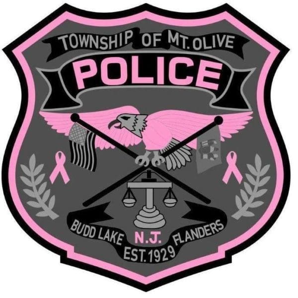 Mount Olive Police Department