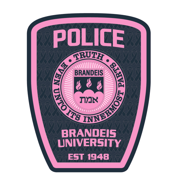 Brandeis University Pink Patch